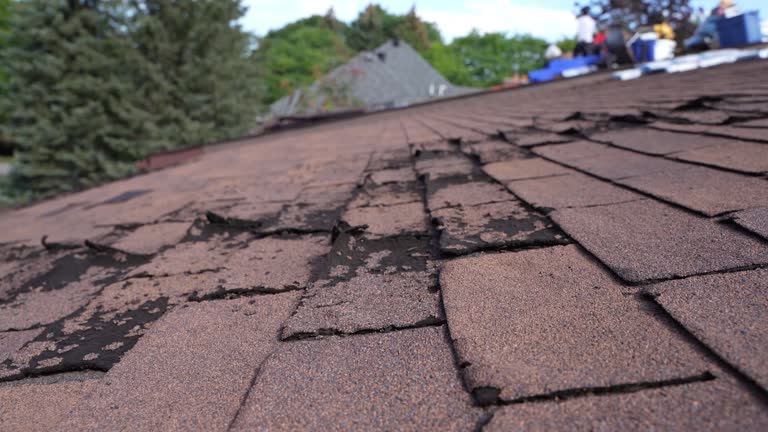 Best 4 Ply Roofing  in Hinckley, IL