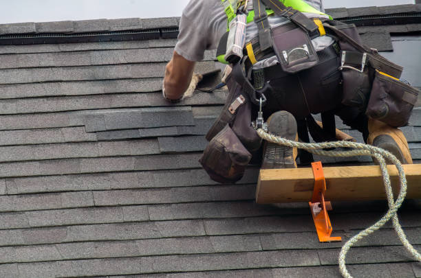 Best Roof Moss and Algae Removal  in Hinckley, IL