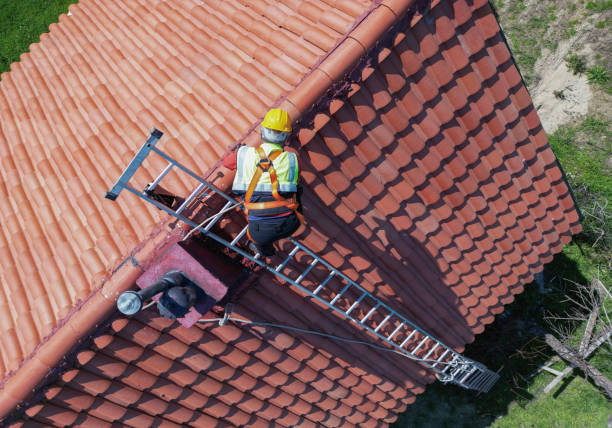 Best Chimney Flashing Repair  in Hinckley, IL